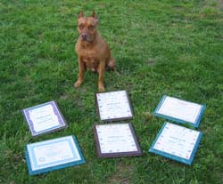 Fel and her diplomas, 2005
