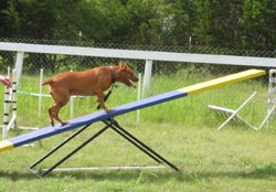 Felanie on the teeter-totter, 2005