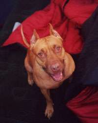 Felanie in a sleeping bag (camping), 2003