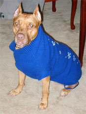 Felanie in her sweater, 2003