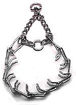A prong collar